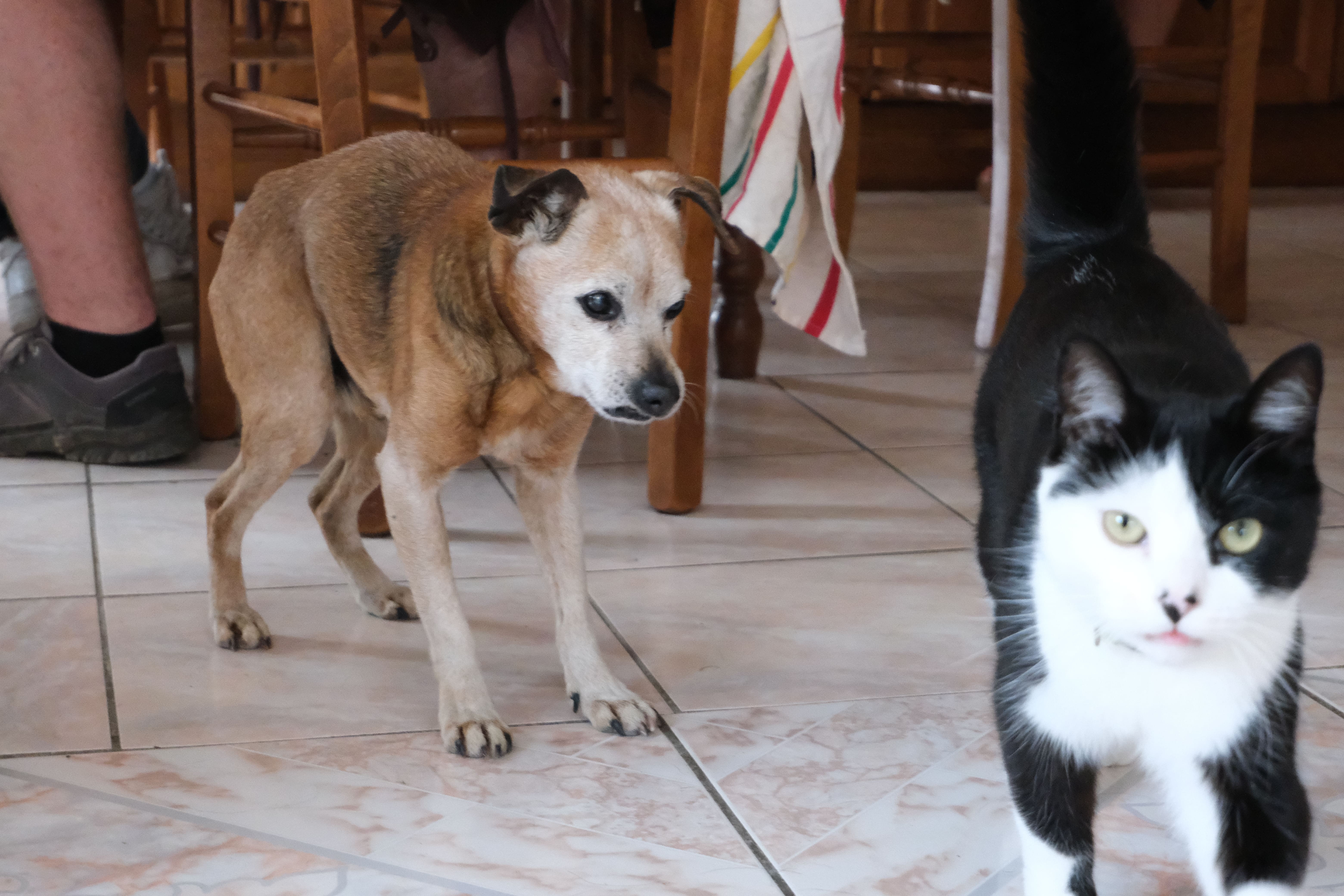 Photo 22